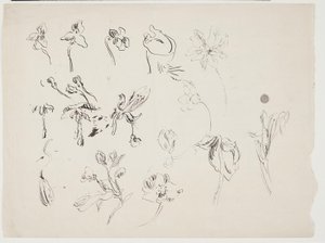 Blomsterskitser af J.A. Jerichau