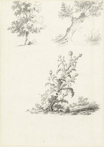 To undersøgelser af et træ og en tidsel af J.B. Joss (attributed to)