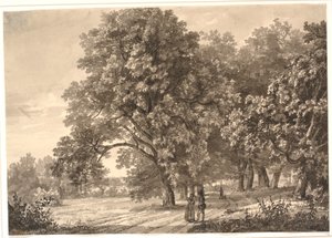Udsigt over en vej i en skov ved Sorø, Sjælland af Johan Christian Dahl