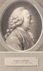 Charles Bonnet af J.F. Clemens
