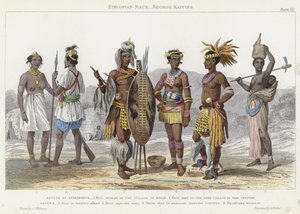 Etiopisk Race, Negros, Kaffirs (farvet gravering)