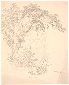 Træer af J.P. Møller