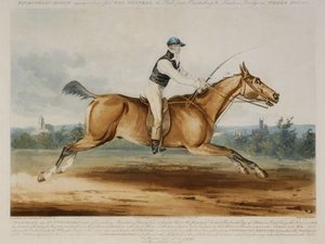 Portræt af Mr. William Hutchinson på 