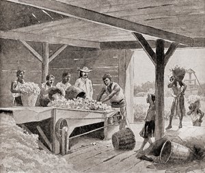 Slaver, der arbejder med en bomuldsgin fra det 19. århundrede på en plantage i en sydlig stat i USA, fra 