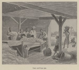 Bomulds gin (litho)