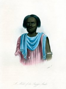 En Melik af Shegyia-araberne, c1840. af J. Bull