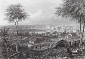 Australien: Brisbane (gravering) af J. C. Armytage