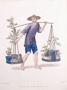 En portør med frugttræer og blomster, c.1800-01 af J Dadley