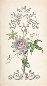 Design til paneldekoration centreret om en passionsblomst, 1828-40. af J Hulme