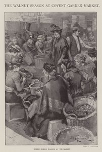 Valnøddesæsonen på Covent Garden Market, London (litho) af J. Macfarlane