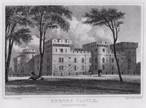 Enmore Castle, Somersetshire (gravering) af John Preston Neale