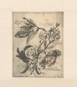 Blomster bundet sammen med et bånd Tulipe fond Jaune / Panachée de rouge / Giroflée simple rouge / (...) dobbelt violet et blanc (titel på objektet) af J. Porteret