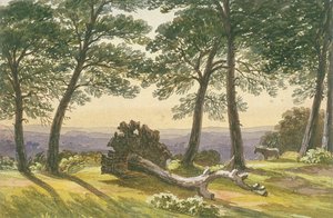 Hampstead Heath, London, c1830 af J Powell