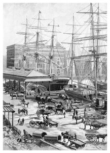 Shipping, Circular Quay, Sydney, New South Wales, Australien, 1886.