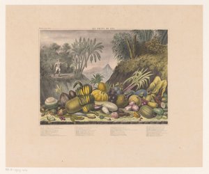 Javanesiske frugter Les fruits de Java (titel på objekt) af J. Schnell