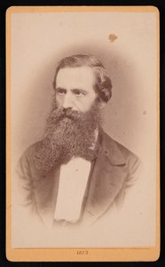 Portræt af Mordecai Cubitt Cooke 1825-1914, 1873. af J Stegmann