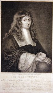 Sir Isaac Newton af J. T. Wedgewood