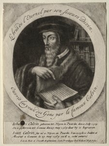 John Calvin af Jacob Gole
