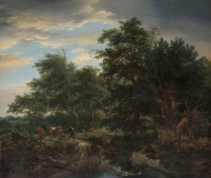 Skovscene af Jacob van Ruisdael