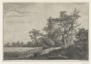 Kornmarken af Jacob van Ruisdael