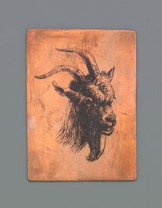 Hovedet af en sorteper af Jacob Maris