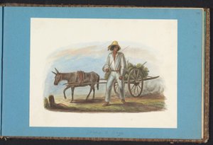 Mand med vogn med bananer Album med tegninger af Surinam, s.44 (50) (serietitel)