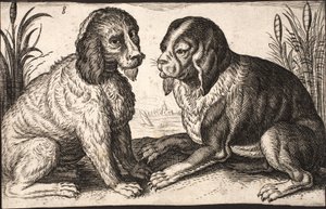To hunde ved en søbred af Jacob Matham