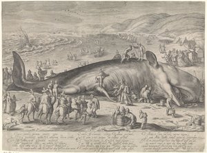 Hval strandede ved Berckhey, 1598
