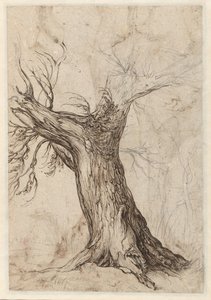 Kastanjetræ med nogle træer omkring af Jacob de Gheyn (II)