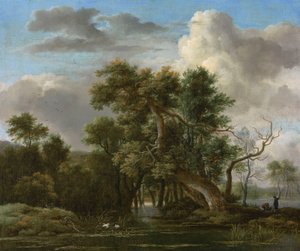 En pool i skoven af Jacob van Ruisdael