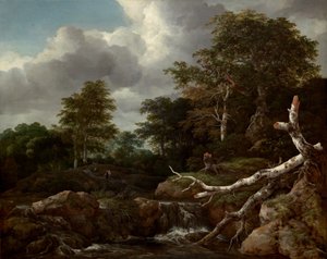Skovscene, ca. 1655. af Jacob van Ruisdael
