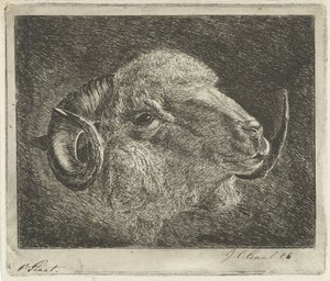 Hovedet af en vædder med horn vendt tilbage af Jacobus Cornelis Gaal (signed by artist)