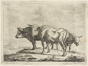 Tre okser af Jacobus Cornelis Gaal