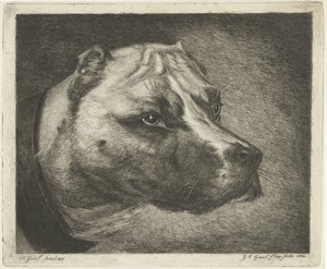 Hundehoved med halsbånd af Jacobus Cornelis Gaal
