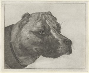 Hundehoved med halsbånd af Jacobus Cornelis Gaal