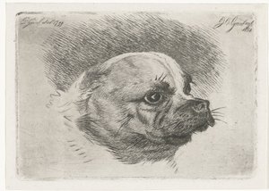 Hovedet af en mops af Jacobus Cornelis Gaal