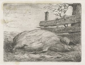 Liggende vildsvin af Jacobus Cornelis Gaal