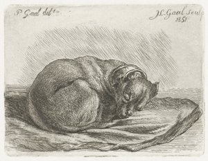 Sovende hund, liggende på et tæppe af Jacobus Cornelis Gaal