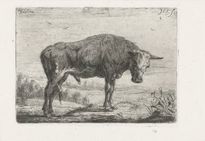 stående tyr af Jacobus Cornelis Gaal