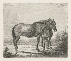 To heste af Jacobus Cornelis Gaal
