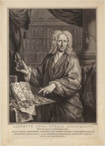  af Jacobus Houbraken