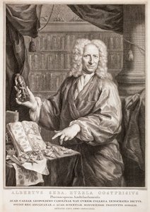  af Jacobus Houbraken