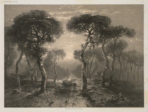 Værker af A. Calame, nr. 13: Forest of Sierre i Valais af Jacomme and Cie. R. de Lancry, 12, Paris