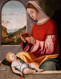  af Jacopo (c.1480-1528) Palma