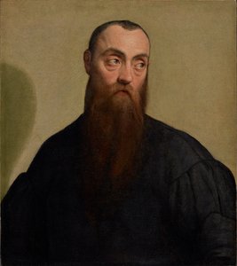 Portræt af en skægget mand af Jacopo Bassano