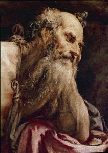 Saint Jerome in Meditationdani af Jacopo Bassano