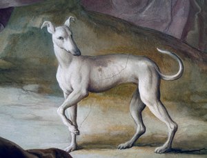 Hund, detalje fra freskomaleri af Jacopo Guarana (1720-1808), centrale hal i Villa Contarini, Valnogaredo, Veneto, Italien