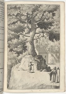 Bøgetræ med klokken (Faggio della campana) [plade X] af Jacopo Ligozzi