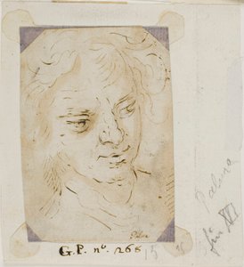 Hoved af en mand af Jacopo Palma il Giovane