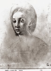 Head of a Woman (kridt på papir) af Jacopo Pontormo
